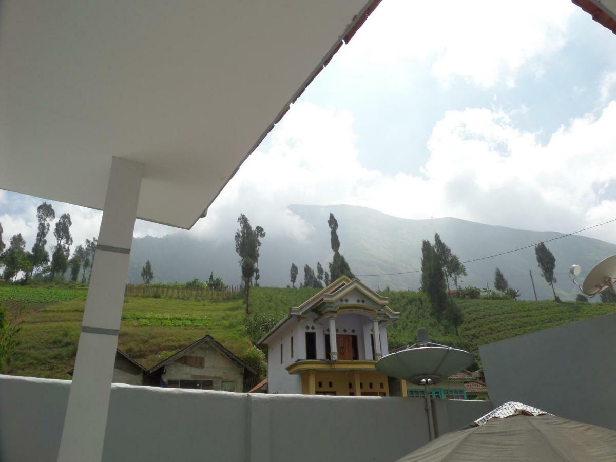 Savana Guesthouse Bromo Eksteriør billede